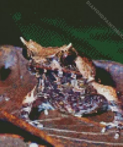 Horned Frog Animal Diamond Painting