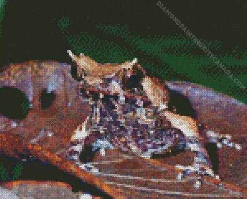 Horned Frog Animal Diamond Painting