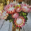 King Protea Plant Diamond Painting