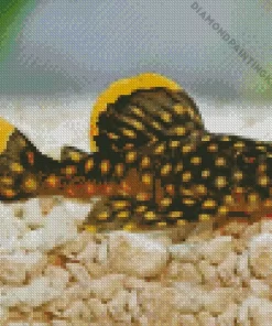 Yellow Pleco Fish Diamond Painting