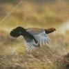 Red Grouse Diamond Painting