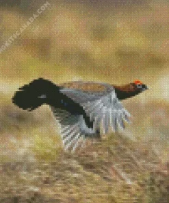 Red Grouse Diamond Painting