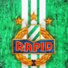 SK Rapid Wien FC Logo Diamond Painting