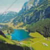 Seealpsee Diamond Painting