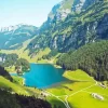 Seealpsee Diamond Painting