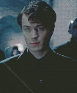 Tom Riddle Diamond Painting