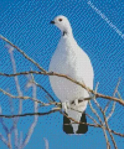 Willow Ptarmigan Diamond Painting