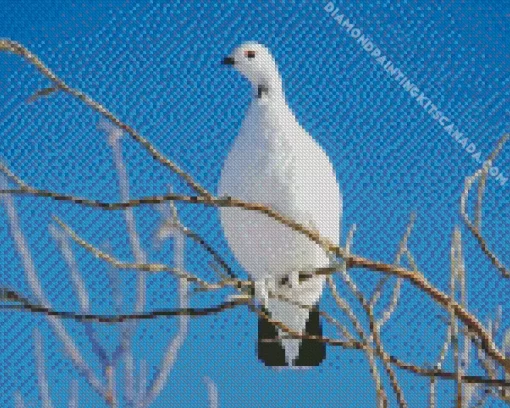 Willow Ptarmigan Diamond Painting