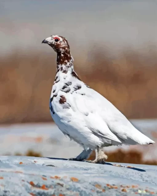 Willow Ptarmigan Bird Diamond Painting