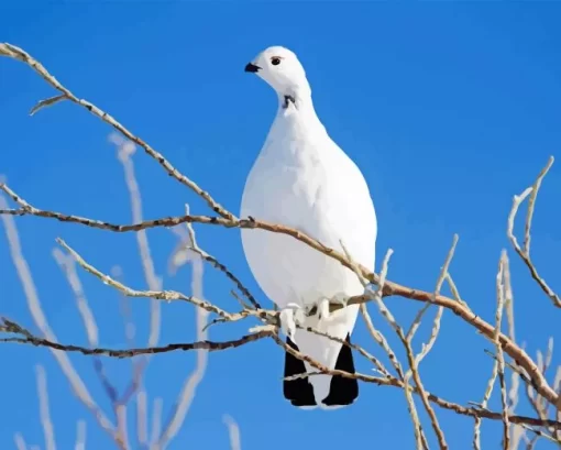 Willow Ptarmigan Diamond Painting