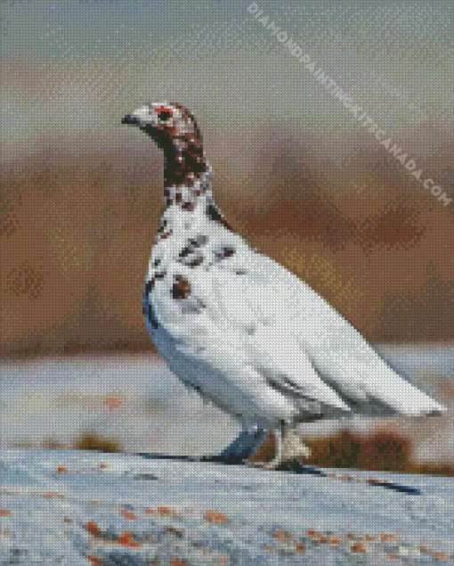 Willow Ptarmigan Bird Diamond Painting