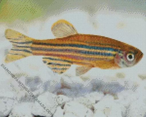 Zebrafish Diamond Painting