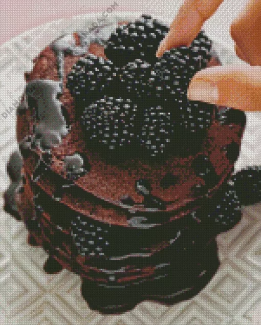 Blackberries Pancake Diamond Painting