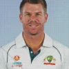 David Warner Diamond Painting