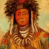 George Catlin Diamond Painting