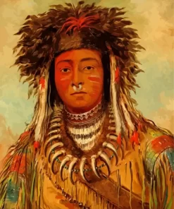 George Catlin Diamond Painting