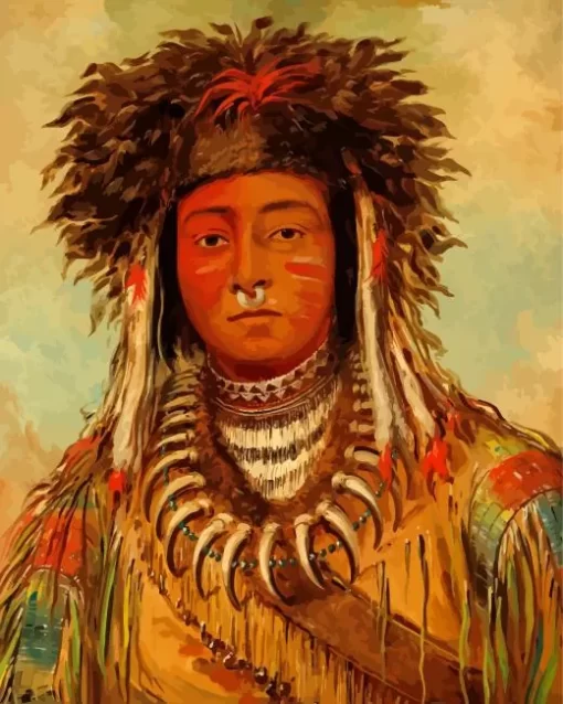 George Catlin Diamond Painting