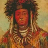 George Catlin Diamond Painting