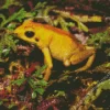 Golden Poison Dart Frog Diamond Painting