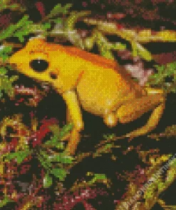 Golden Poison Dart Frog Diamond Painting