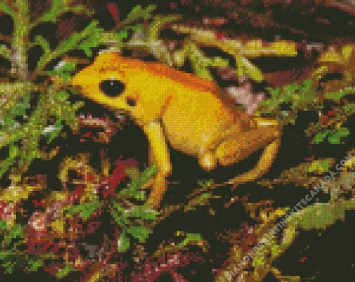 Golden Poison Dart Frog Diamond Painting