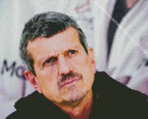 Guenther Steiner Diamond Painting