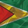 Guyana Flag Diamond Painting