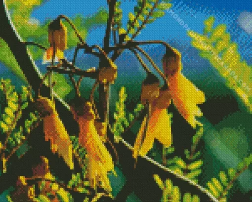 Kowhai Diamond Painting