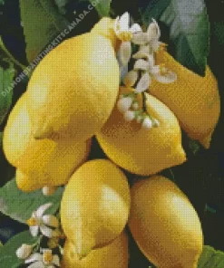 Lemon Plant Diamond Painting