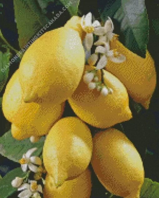 Lemon Plant Diamond Painting