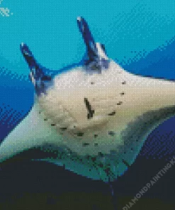 Manta Rays Fish Diamond Painting