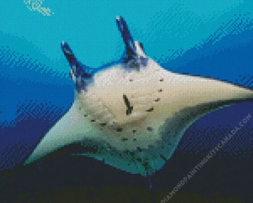 Manta Rays Fish Diamond Painting