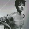 Monochrome Leslie Caron Diamond Painting