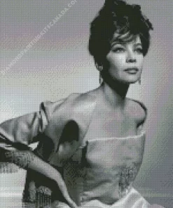 Monochrome Leslie Caron Diamond Painting