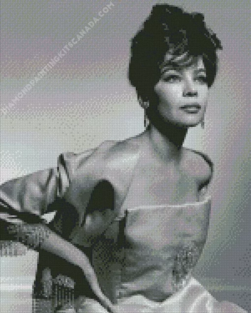 Monochrome Leslie Caron Diamond Painting