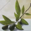 Olive Branch Diamond Painting