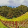 Paso Robles Diamond Painting