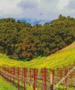 Paso Robles Diamond Painting