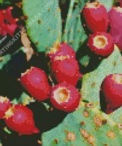 Prickly Pear Diamond Painting