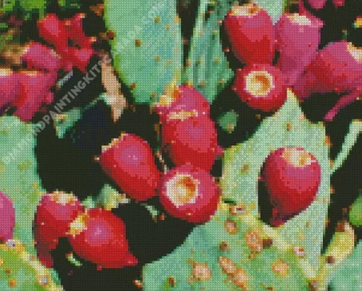 Prickly Pear Diamond Painting