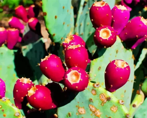 Prickly Pear Diamond Painting