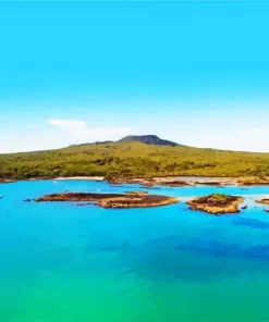 Rangitoto Island Diamond Painting