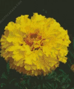 Tagetes Erecta Diamond Painting