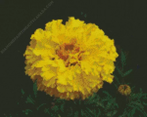 Tagetes Erecta Diamond Painting