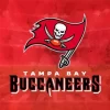 Tampa Bay Buc Diamond Painting