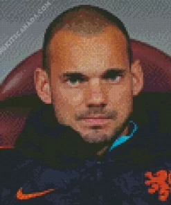 Dutch Wesley Sneijder Diamond Painting