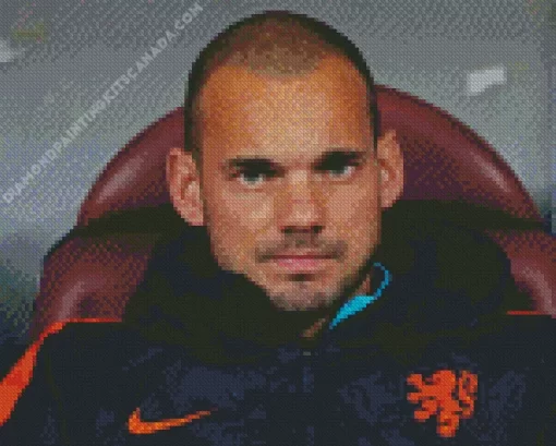 Dutch Wesley Sneijder Diamond Painting