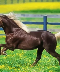 Black Horse With Blond Hair Diamond Painting