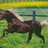 Black Horse With Blond Hair Diamond Painting