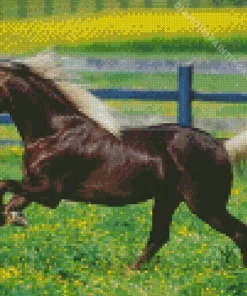 Black Horse With Blond Hair Diamond Painting